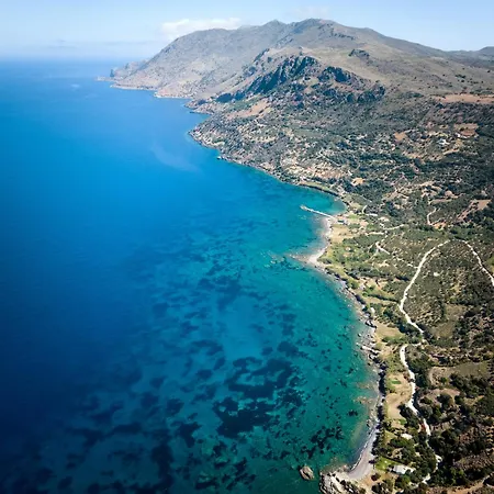 Nami - Alenia Chania (Crete)